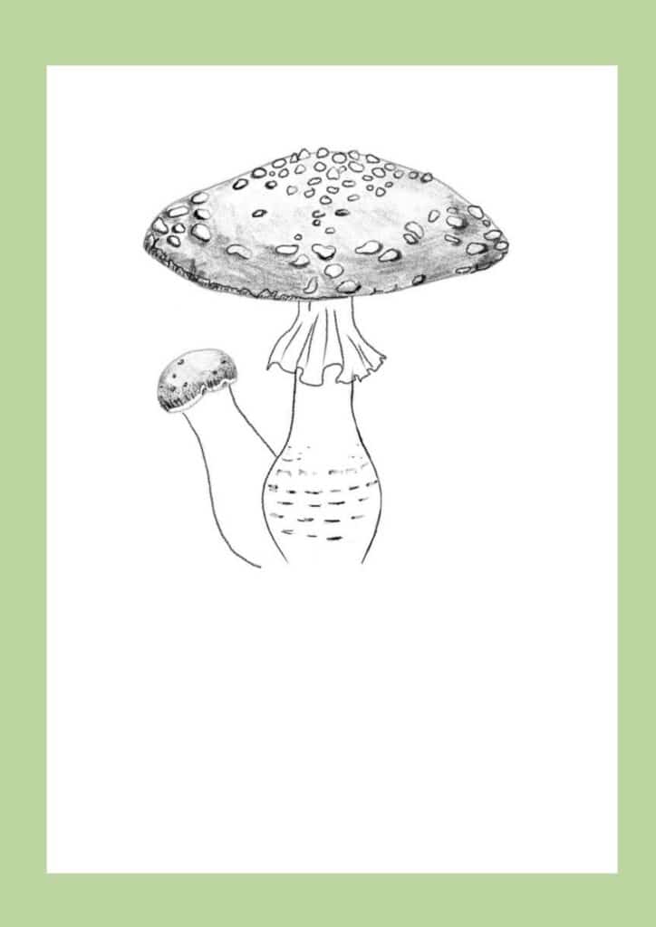 How to draw a mushroom step 9