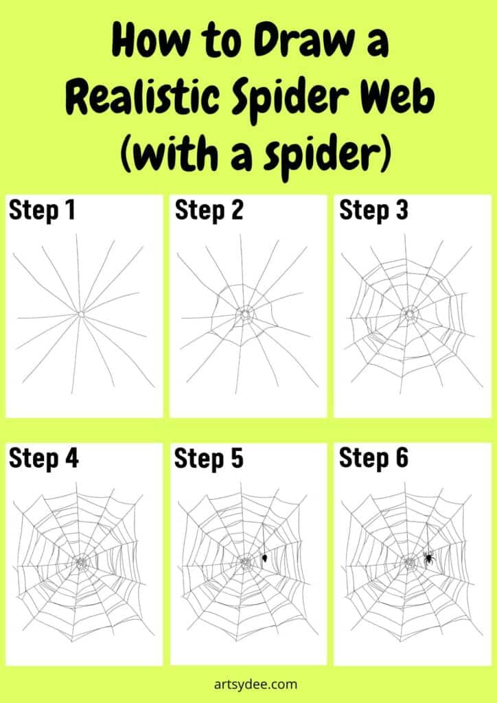 Infographic for How to Draw a Realistic Spider Web with Spider
