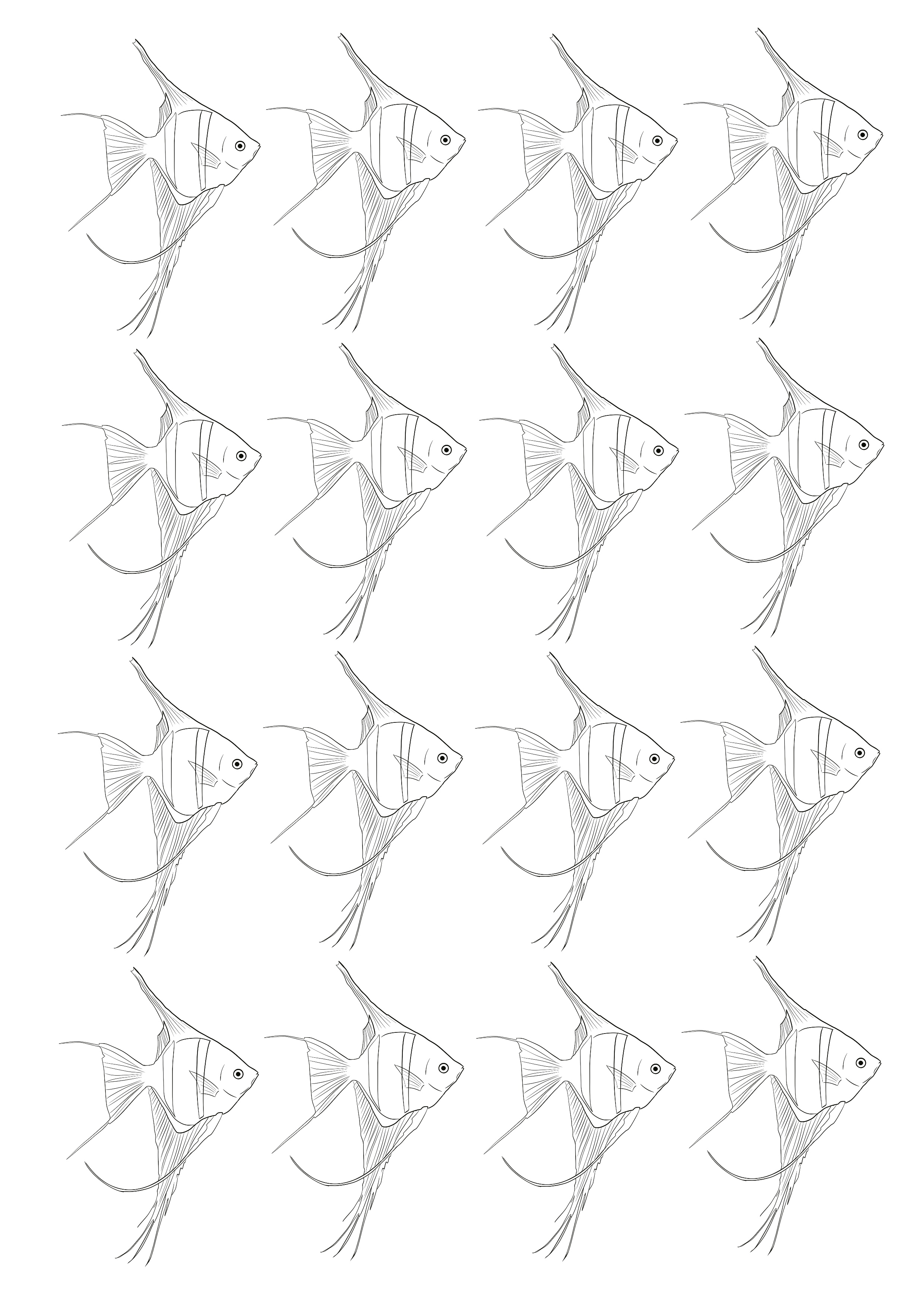 8-free-angelfish-template-printables-artsydee-drawing-painting