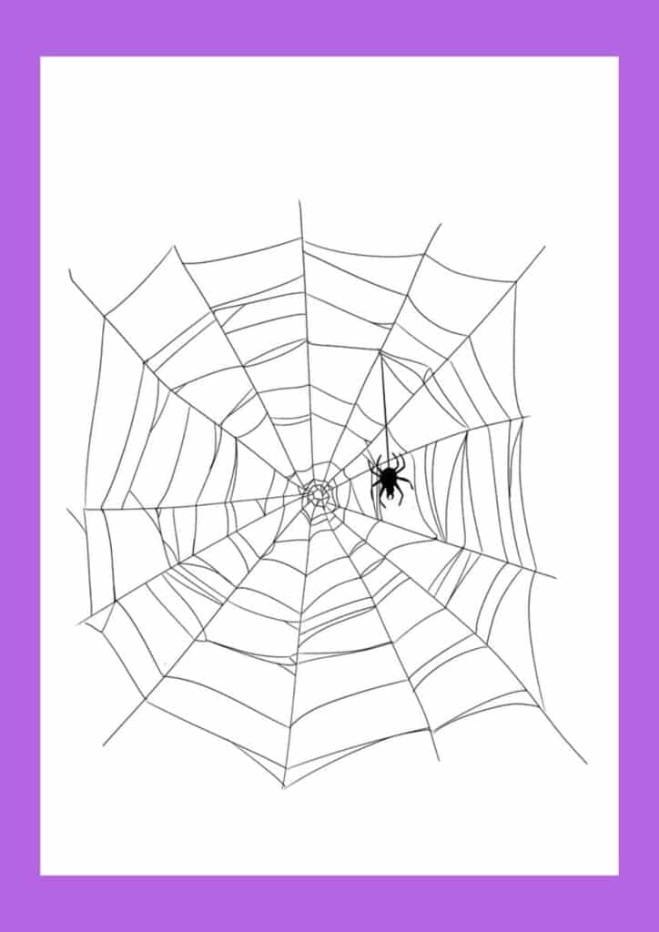 Spider hanging from a spider web drawing step 2