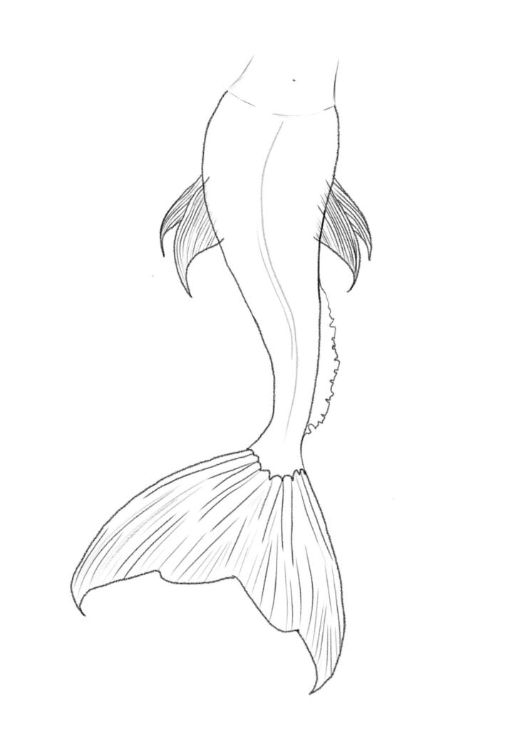 how to draw a realistic mermaid tail