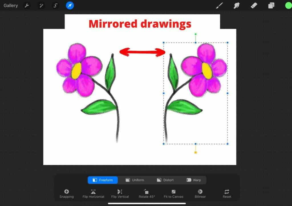 how to mirror in procreate method 1 flip