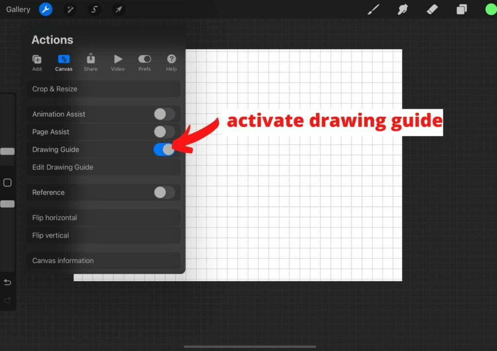 activate drawing guide for how to mirror in procreate