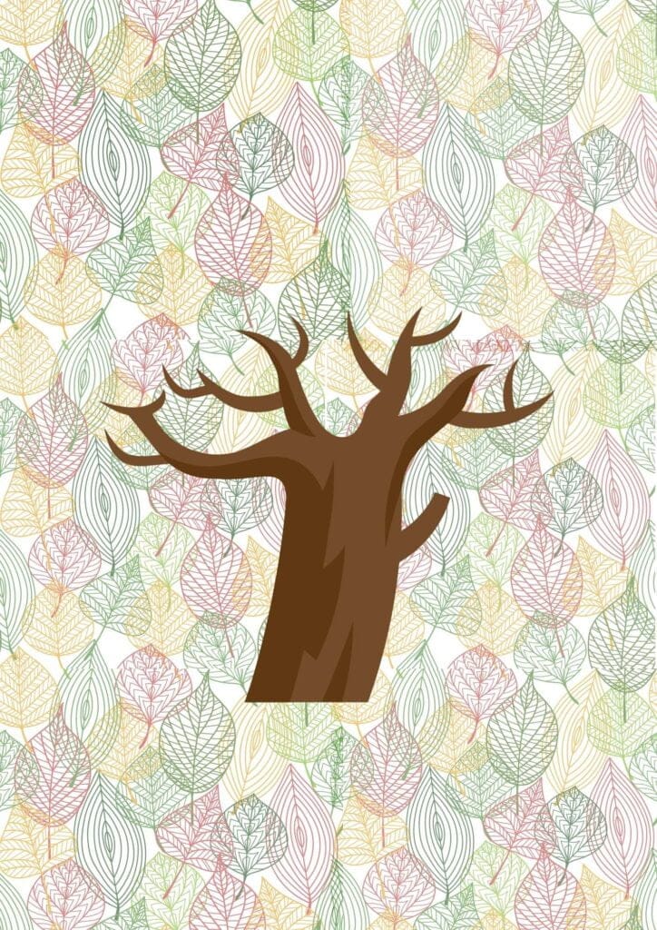 baobab tree without leaves printable template