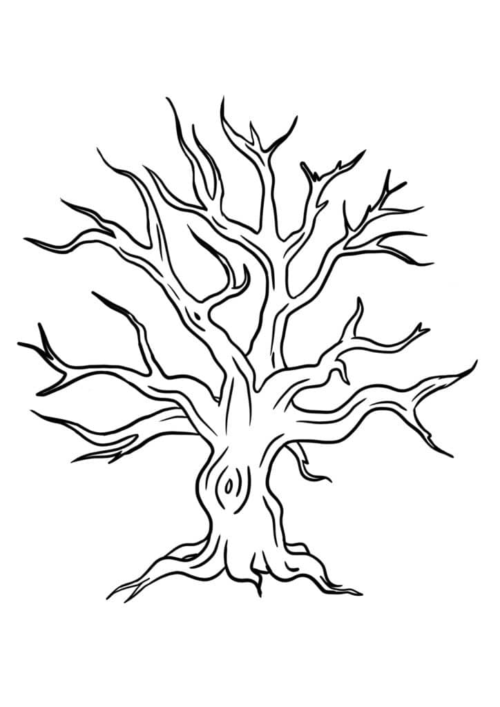 tree without leaves drawing