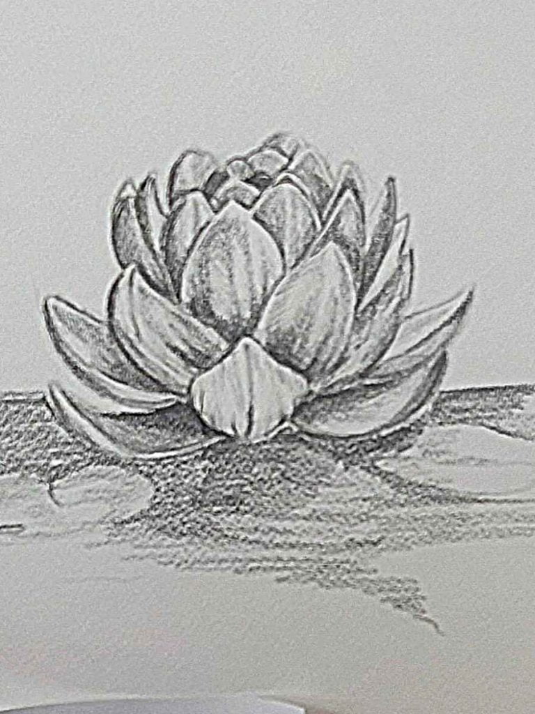 How to Sketch Your Own Lotus Flower Drawing - Artsydee - Drawing ...