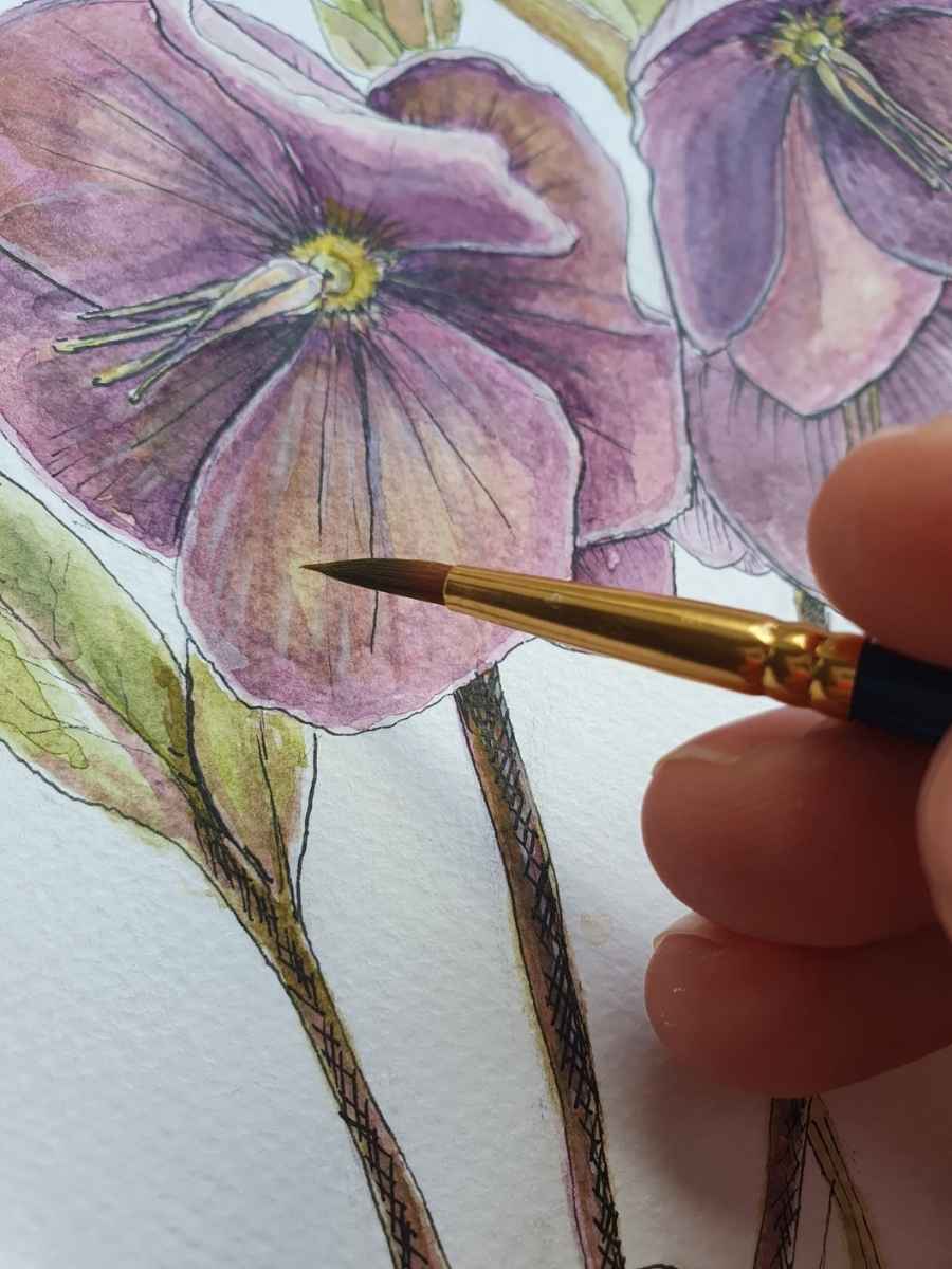 Top Tips for Painting Beautiful Pen and Ink Watercolor Flowers ...