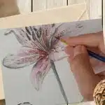 Lily Flower Drawing Pin