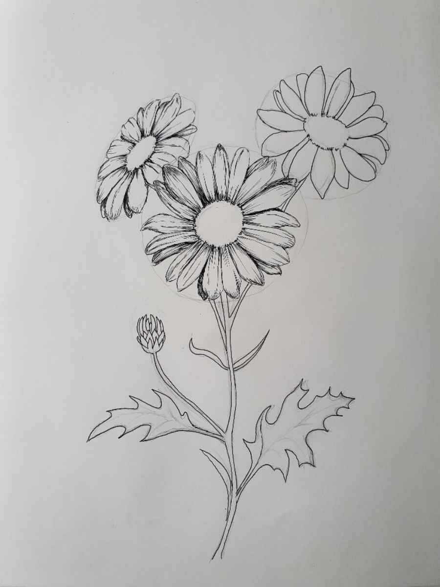 How to do a Daisy Flower Drawing: Step-By-Step - Artsydee - Drawing ...