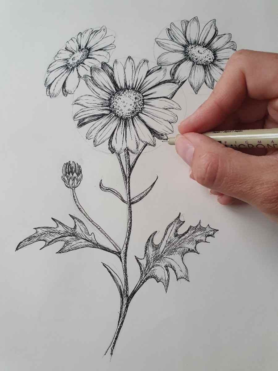 How to do a Daisy Flower Drawing: Step-By-Step - Artsydee - Drawing ...