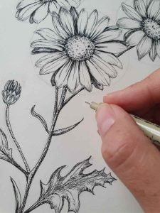 How to do a Daisy Flower Drawing: Step-By-Step - Artsydee - Drawing ...