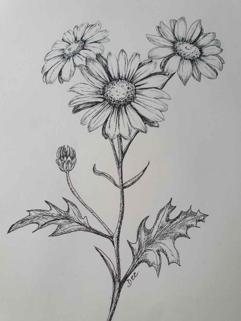 How to do a Daisy Flower Drawing: Step-By-Step - Artsydee - Drawing ...