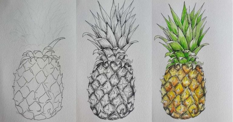 How to Draw a Pineapple in 16 Simple Steps - Artsydee - Drawing ...