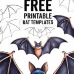 free printable bat template