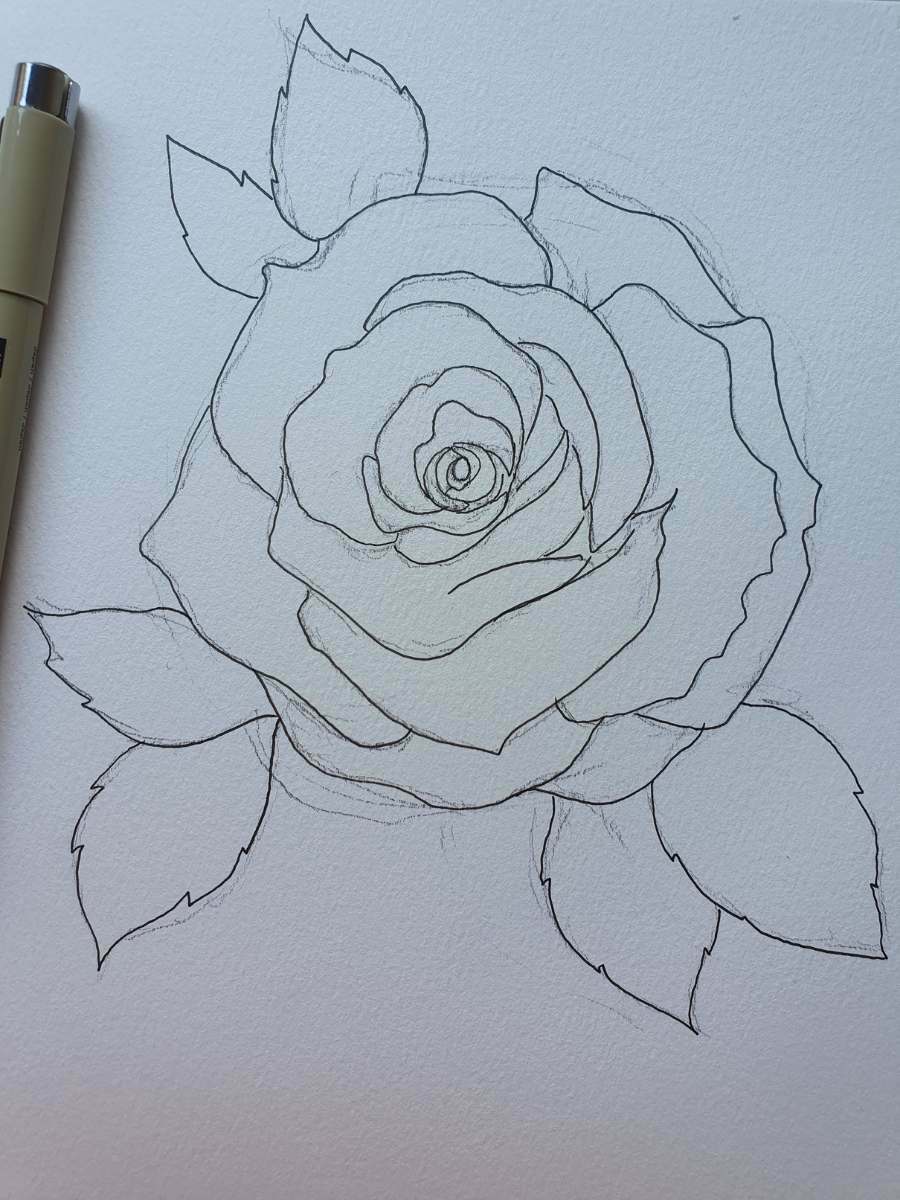 Exquisite Rose Drawing | 3 Easy Step-by-Step Tutorials - Artsydee ...