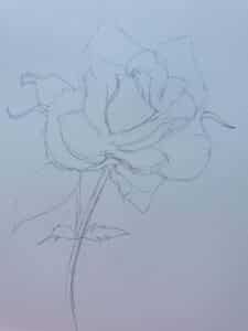 Exquisite Rose Drawing | 3 Easy Step-by-Step Tutorials – Artsydee ...