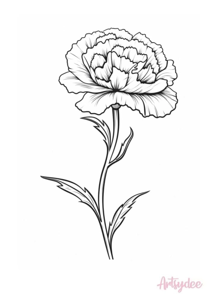 Carnation Flower Template