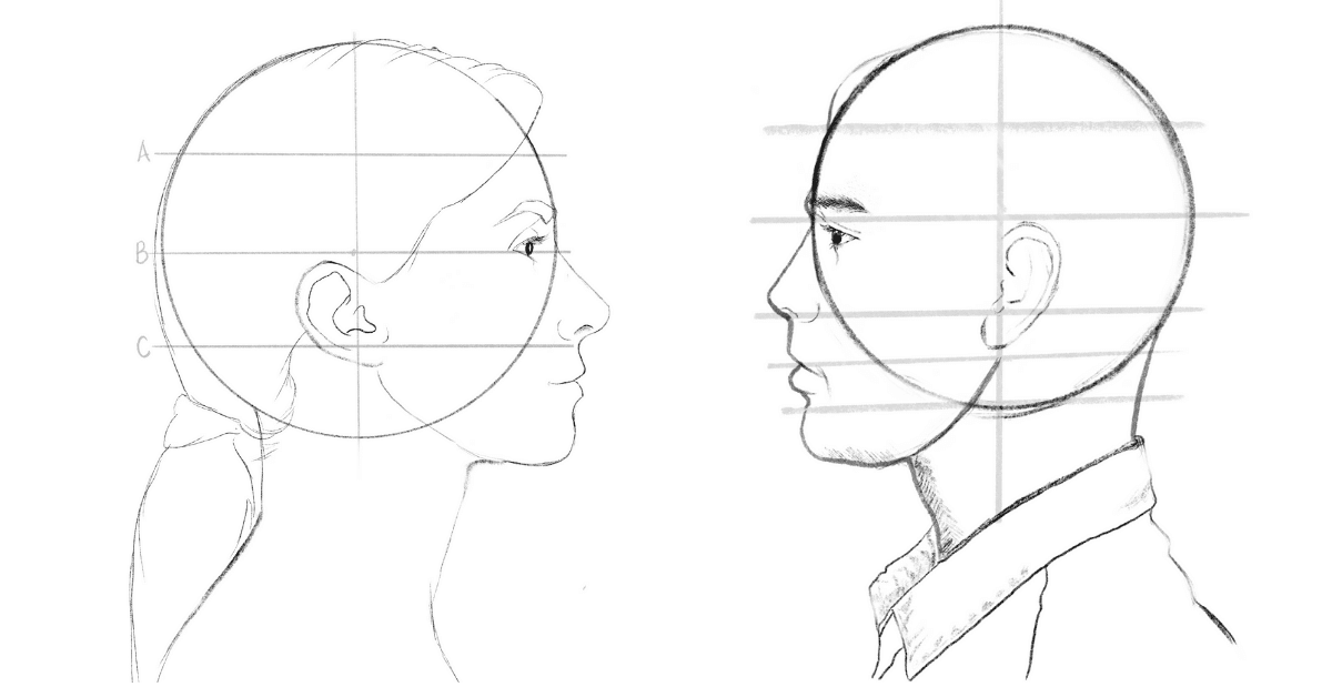 How To Draw Face In Profile Thoughtit20