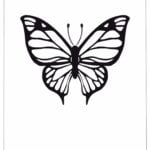 butterfly template