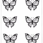 butterfly template