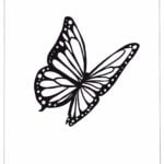 butterfly template