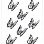 butterfly template