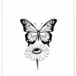 butterfly stencil template