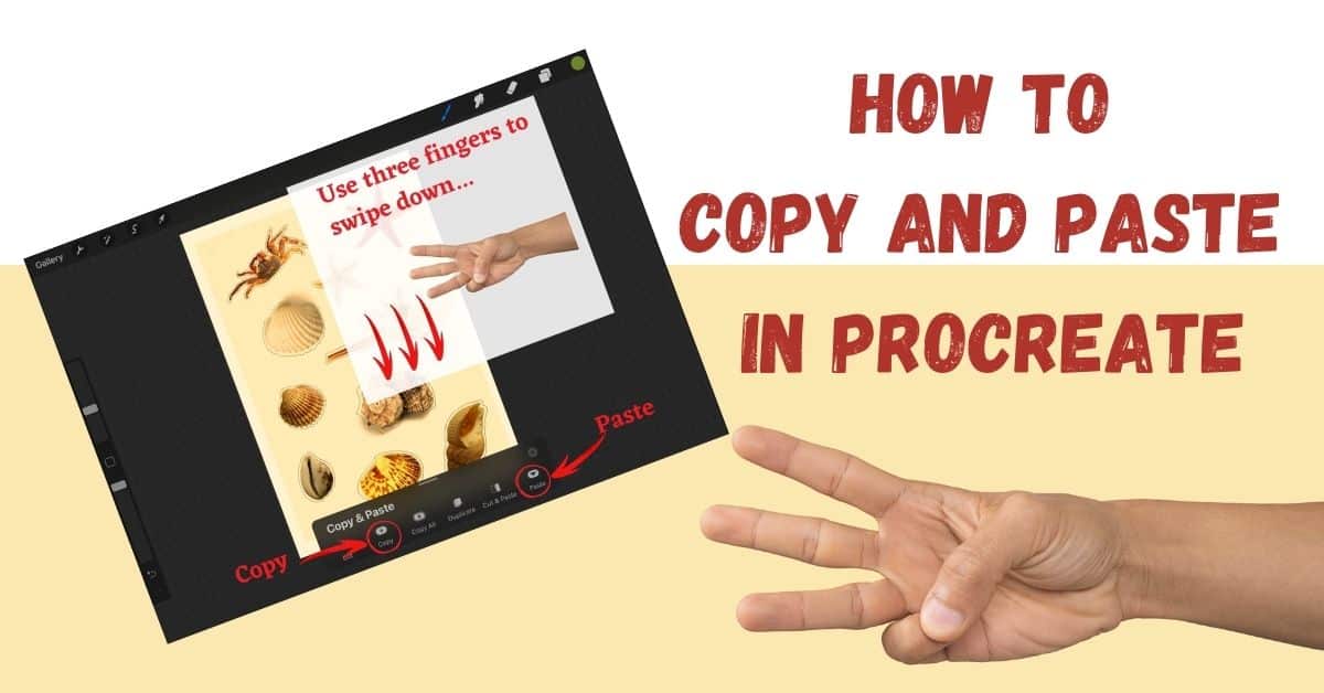 How To Copy And Paste In Procreate 6 Easy Ways To Duplicate In 