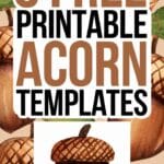 acorn template free printable