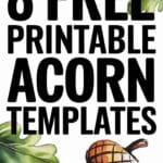 acorn template free printable