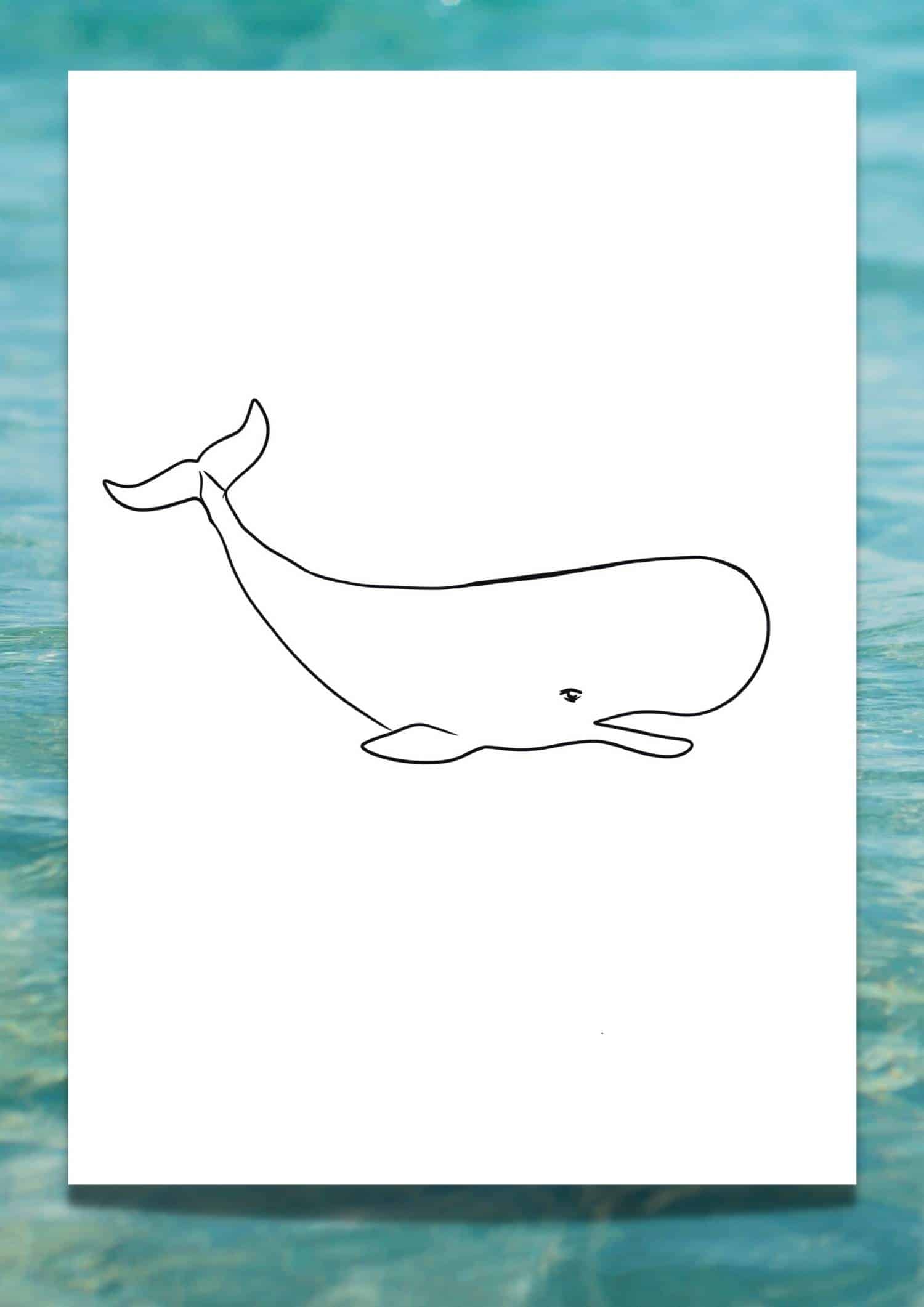 Looking for a Printable Whale Template? 6 FREE Traceable Whales