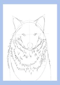 Wondering How to Draw a Wolf? (Wolf Drawing Tutorial 2023) - Artsydee ...