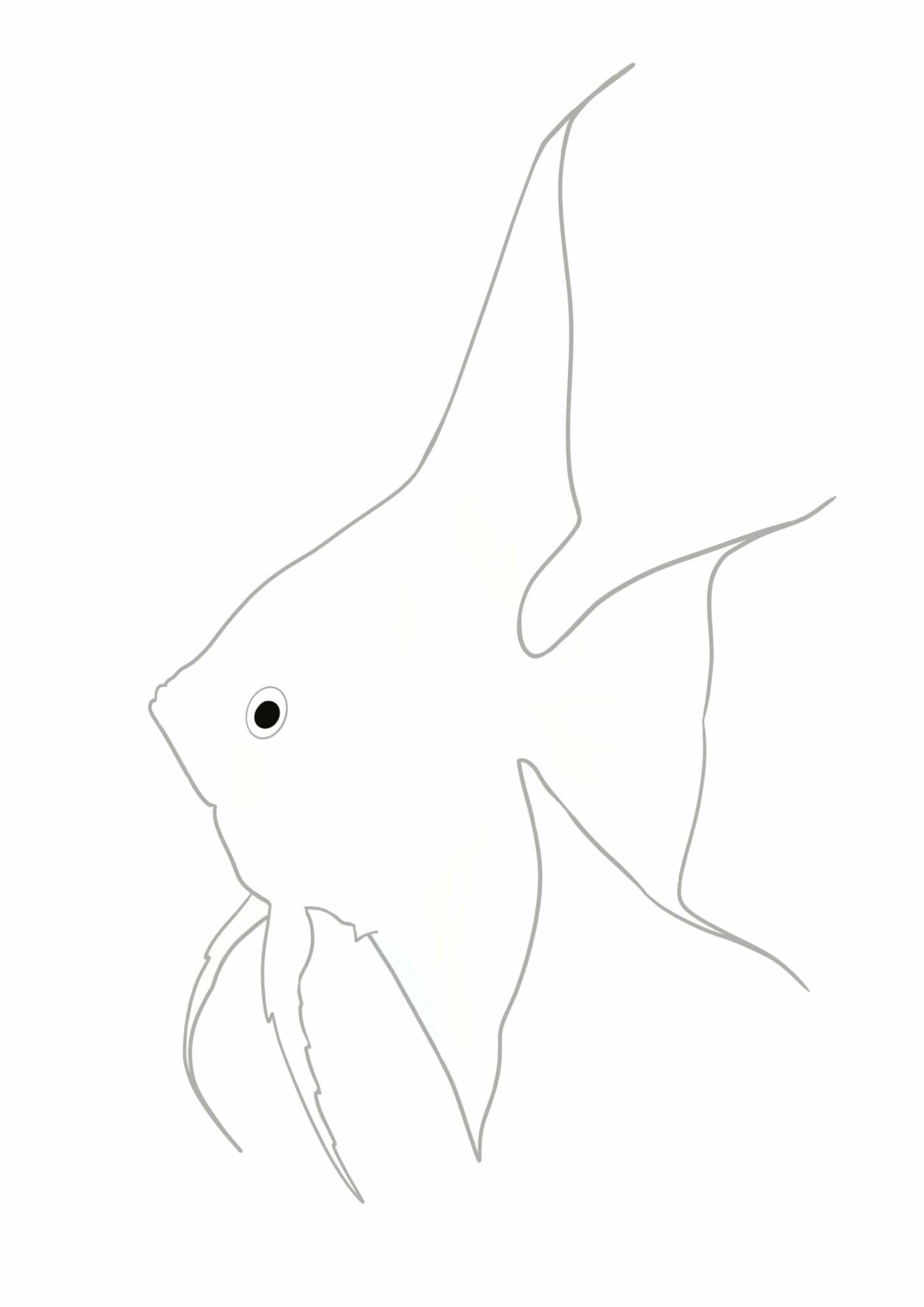 8-free-angelfish-template-printables-artsydee-drawing-painting