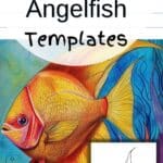 angelfish templates