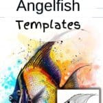 angelfish templates