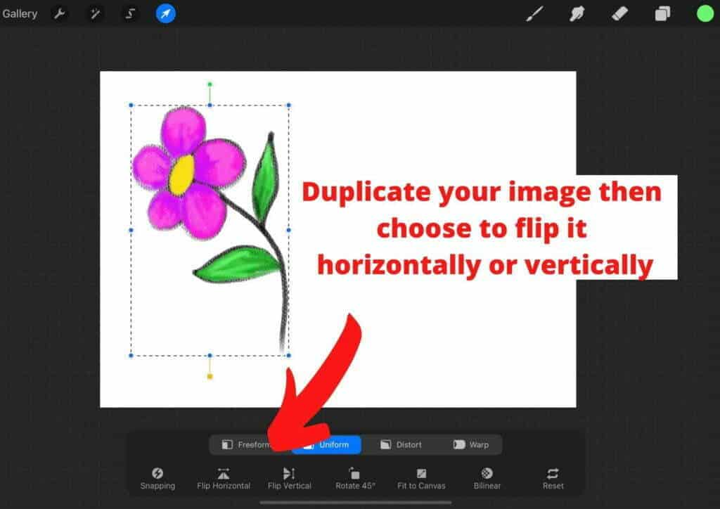 How To Mirror In Procreate 2 Easy, How To Mirror The Screen In Procreate