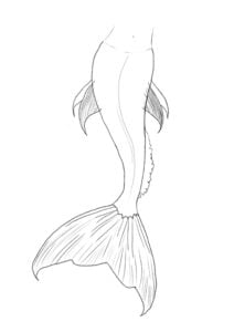 How to Draw a Mermaid Tail in 15 Easy Steps - Artsydee - Drawing ...