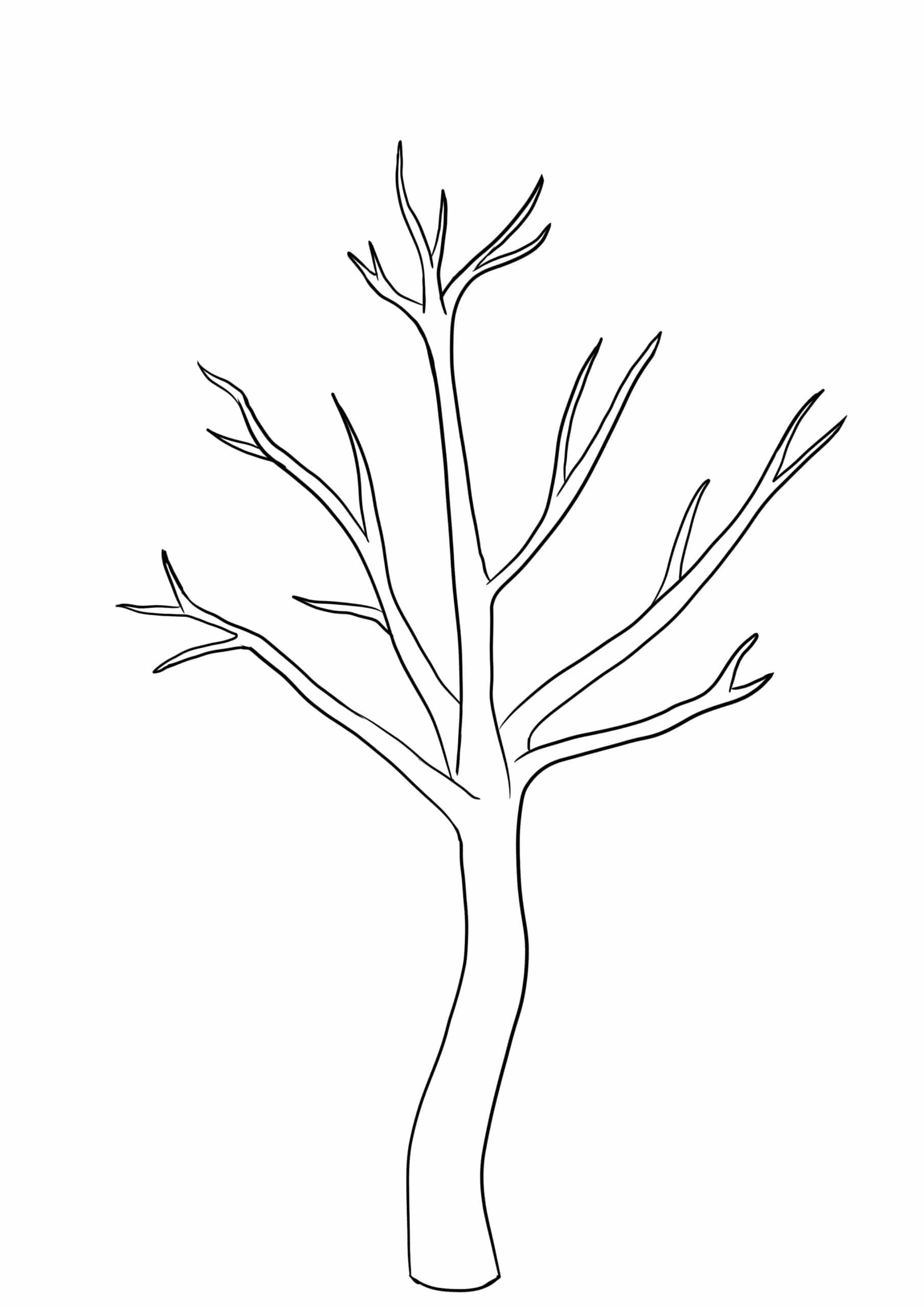 Tree Template without Leaves (5 Free Printables) Artsydee Drawing