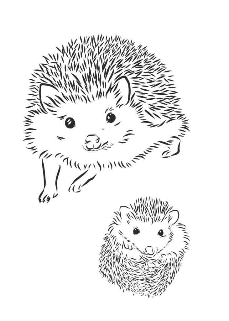 Aesthetic things to draw hedgehog 16