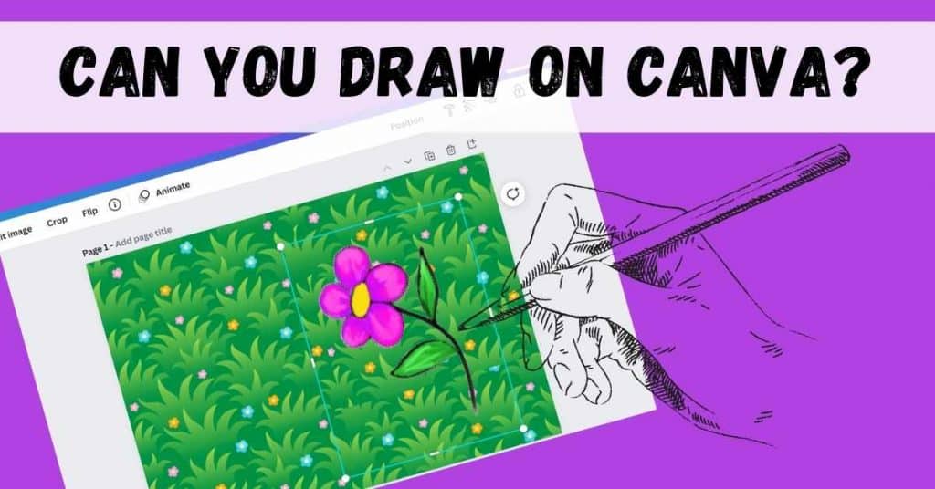 Can You Draw On Canva Tips Tricks For Creatives 2022 Artsydee 