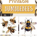 free printable bumble bee