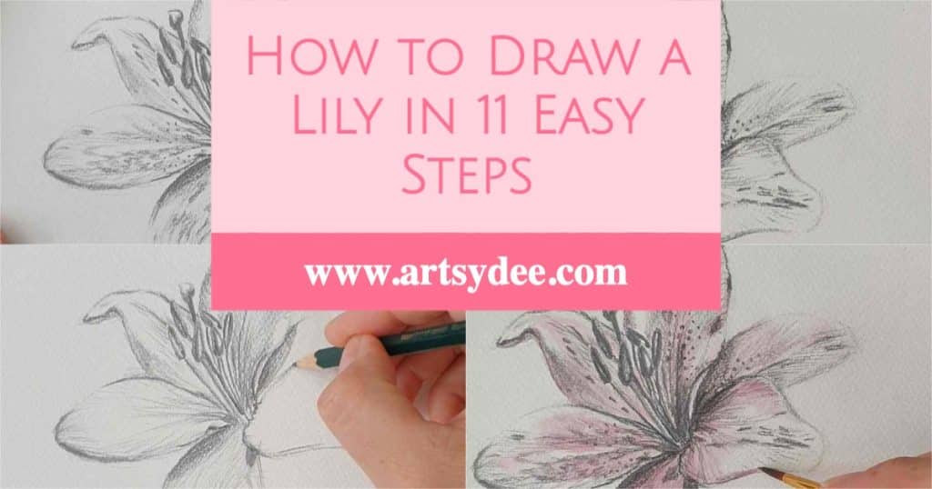 tiger lily drawing steps