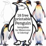 penguin templates for watercolor & coloring