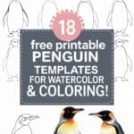 penguin templates for watercolor & coloring