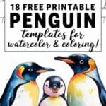 penguin templates for watercolor & coloring