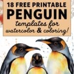 penguin templates for watercolor & coloring