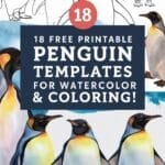 penguin templates for watercolor & coloring