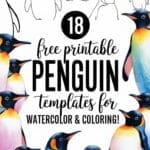 penguin templates for watercolor & coloring