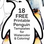 penguin templates for watercolor & coloring