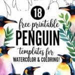 penguin templates for watercolor & coloring